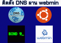 ติดตั้ง DNS Server ผ่าน webmin